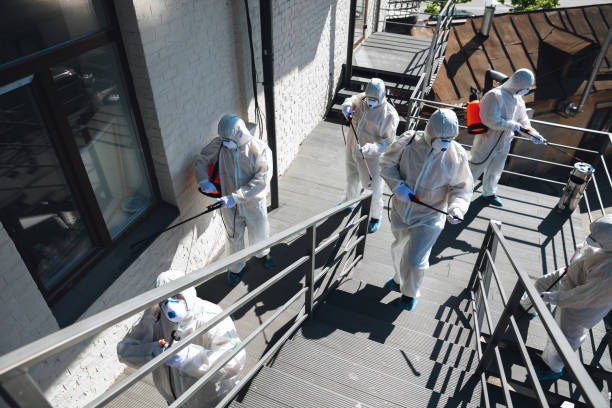 Professional Mold Removal in Biscoe, NC