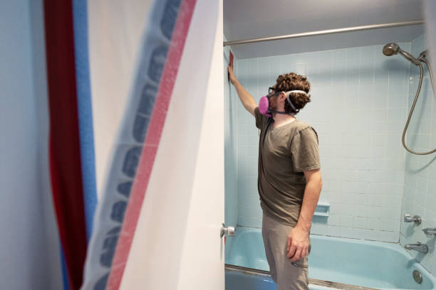 Best Mold Damage Restoration  in Biscoe, NC